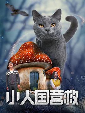 青青操手机看